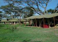 Serengeti Savannah Camp