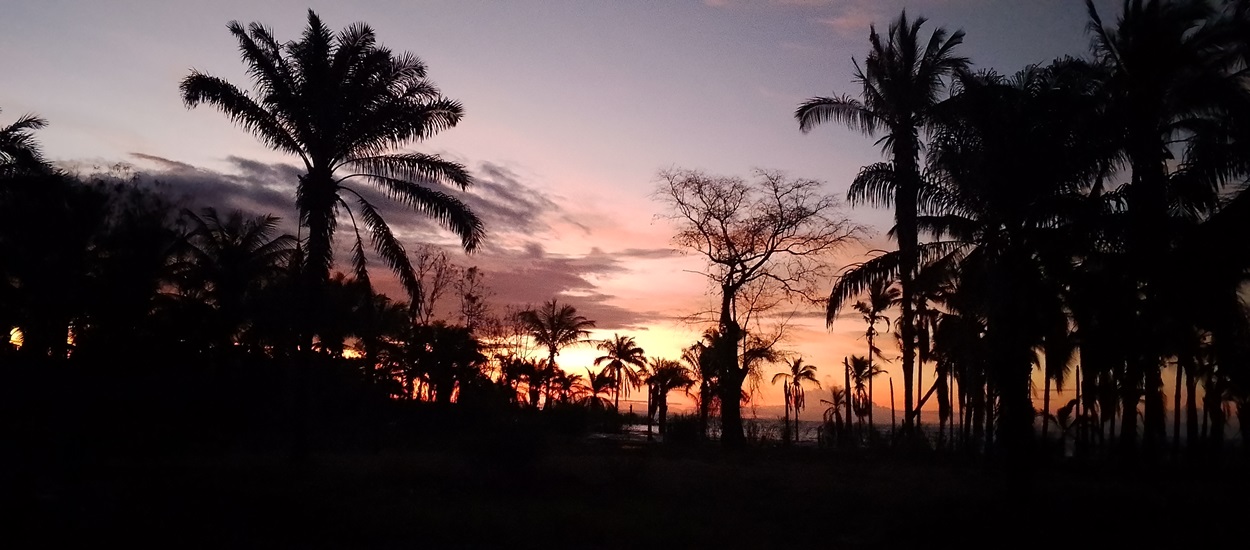 mahale-katavi-safari-tanzania-1