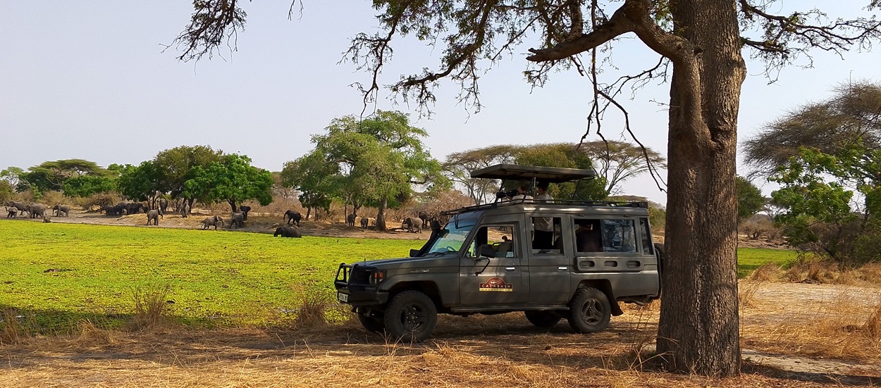 mahale-katavi-safari-tanzania-2