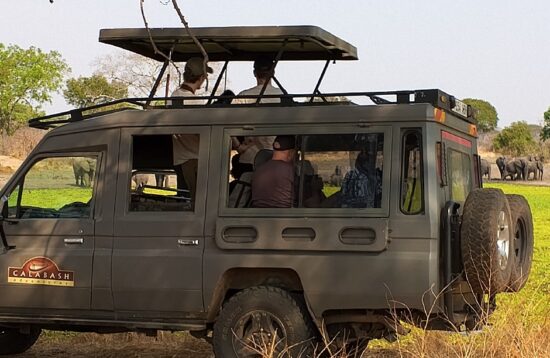 Katavi Safari Experience